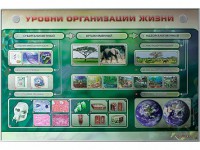 Электрифицированный стенд "Уровни организации жизни" - fgospostavki.ru - Александров