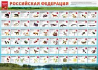 Стенд "Красная книга РФ" - fgospostavki.ru - Александров