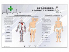 Электрифицированный стенд "Остановка кровотечения" - fgospostavki.ru - Александров