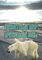 DVD "Животный мир Арктической зоны" - fgospostavki.ru - Александров