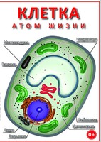 DVD "Клетка - "атом жизни" - fgospostavki.ru - Александров