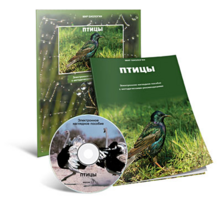 Электронное наглядное пособие «Птицы» - fgospostavki.ru - Александров