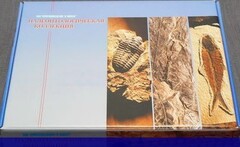 Коллекция "Палеонтологическая" (16 образцов) - fgospostavki.ru - Александров