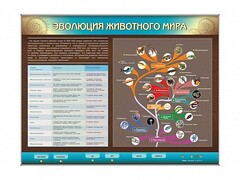 Интерактивный электрифицированный стенд "Эволюция животного мира" - fgospostavki.ru - Александров