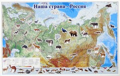 Магнитные карточки "Животные" - fgospostavki.ru - Александров