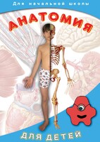 DVD "Анатомия для детей" - fgospostavki.ru - Александров