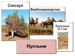 Модель-аппликация "Природные зоны России" (ламинированная) - fgospostavki.ru - Александров