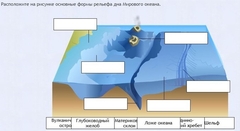 Интерактивные курсы. География 7 класс . Базовый. - fgospostavki.ru - Александров