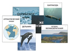 Модель-аппликация "Океаны. Знакомство" (ламинированная) - fgospostavki.ru - Александров