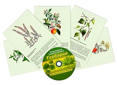 Интерактивный наглядный комплекс "Гербарий "Для начальной школы" - fgospostavki.ru - Александров