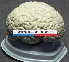 Модель "Мозг в разрезе" (белый) - fgospostavki.ru - Александров