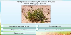 Интерактивные курсы. Окружающий мир 3 класс . Базовый. - fgospostavki.ru - Александров