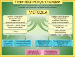 Стенд "Методы селекции и биотехнологии" - fgospostavki.ru - Александров