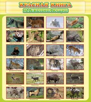 Стенд "Красная книга - млекопитающие" - fgospostavki.ru - Александров