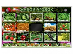 Комплект оборудования "Живой уголок" (растения) - fgospostavki.ru - Александров
