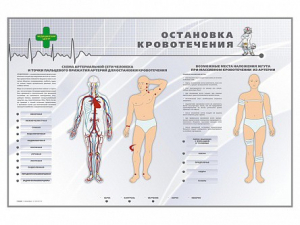 Электрифицированный стенд "Остановка кровотечения" - fgospostavki.ru - Александров