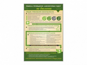 Стенд "Правила выполнения лабораторных работ по биологии" Вариант 1 - fgospostavki.ru - Александров
