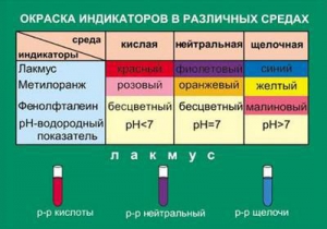 Таблица. Окраска индикаторов в различных средах. - fgospostavki.ru - Александров