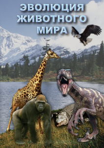 DVD "Эволюция животного мира" - fgospostavki.ru - Александров