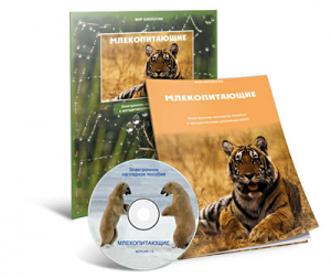 Электронное наглядное пособие «Млекопитающие» - fgospostavki.ru - Александров