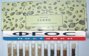 Коллекция "Семена к гербарию для начальной школы" (11 видов) - fgospostavki.ru - Александров