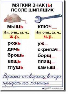 Комплект таблиц по русскому языку для начальной школы. Русский язык 3 класс - fgospostavki.ru - Александров