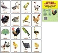 Раздаточные карточки "Птицы домашние и декоративные" - fgospostavki.ru - Александров