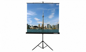 Проекционный экран на штативе Lumien Eco View (LEV-100105) 160x160 см - fgospostavki.ru - Александров