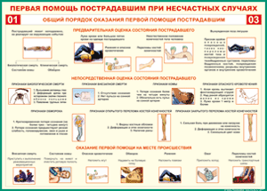 Таблица "Общий порядок оказания первой помощи пострадавшим" (100х140 сантиметров, винил) - fgospostavki.ru - Александров