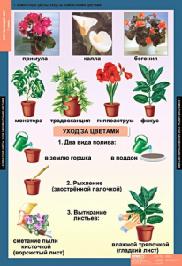 Комплект таблиц. Окружающий мир 1 класс. - fgospostavki.ru - Александров