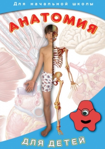 DVD "Анатомия для детей" - fgospostavki.ru - Александров