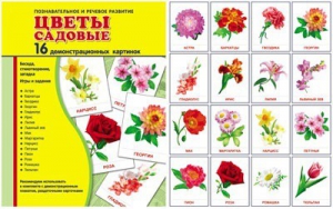 Демонстрационные карточки "Цветы садовые" - fgospostavki.ru - Александров