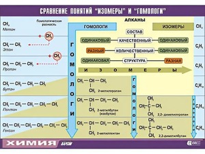 Таблица демонстрационная "Сравнение понятий изомер и гомолог" (винил 70x100) - fgospostavki.ru - Александров