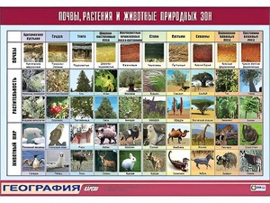 Таблица демонстрационная "Почвы, растения и животные природных зон" (винил 100*140) - fgospostavki.ru - Александров