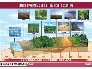 Таблица демонстрационная "Смена природных зон от полюсов к экватору" (винил 100*140) - fgospostavki.ru - Александров