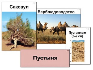 Модель-аппликация "Природные зоны России" (ламинированная) - fgospostavki.ru - Александров