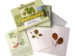 Гербарий "Систематика растений. Семейство Розоцветные" (раздаточный) - fgospostavki.ru - Александров
