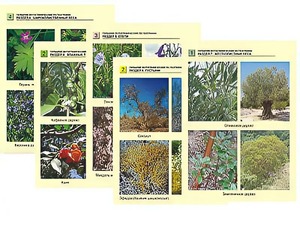 Гербарий фотографический по географии - fgospostavki.ru - Александров