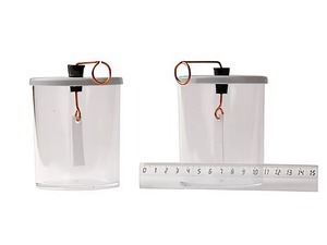 Электроскопы (2 штуки) - fgospostavki.ru - Александров