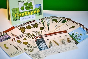Гербарий к курсу основ общей биологии - fgospostavki.ru - Александров