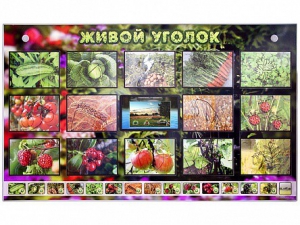 Комплект оборудования "Живой уголок" (растения) с тифлопереводом и сурдокомментариями - fgospostavki.ru - Александров