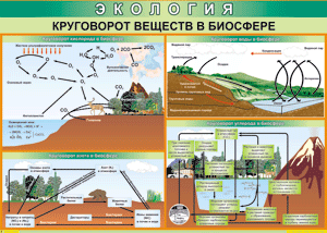 Таблица "Круговорот веществ в биосфере" (100х140 сантиметров, винил) - fgospostavki.ru - Александров