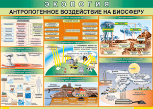 Таблица "Антропогенное воздействие на биосферу" (100х140 сантиметров, винил) - fgospostavki.ru - Александров