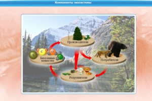 Интерактивные курсы. Биология 7 класс. Базовый. - fgospostavki.ru - Александров