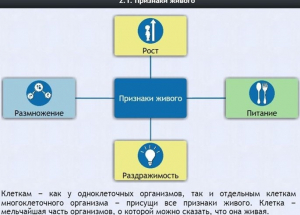 Интерактивные курсы. Биология 5 класс. Базовый - fgospostavki.ru - Александров