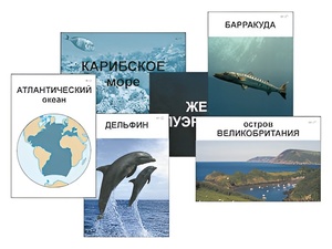 Модель-аппликация "Океаны. Знакомство" (ламинированная) - fgospostavki.ru - Александров