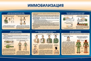 Стенд "Иммобилизация" - fgospostavki.ru - Александров