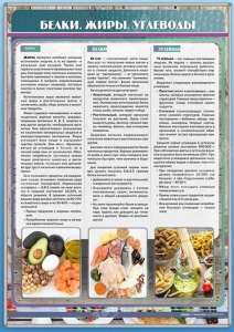 Стенд "Белки. Жиры. Углеводы" - fgospostavki.ru - Александров
