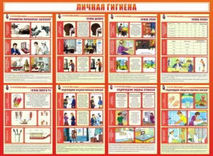 Стенд "Личная гигиена" - fgospostavki.ru - Александров