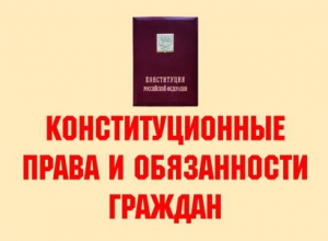 Комплект плакатов "Конституционные права и обязанности граждан" - fgospostavki.ru - Александров